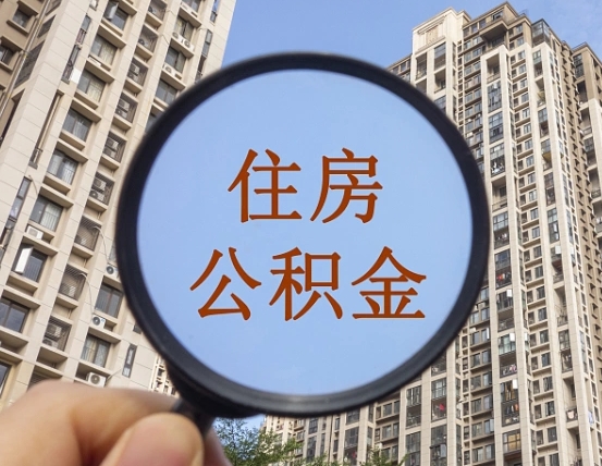 连云港退休后查不到公积金明细了吗（退休后公积金查询不到原因）